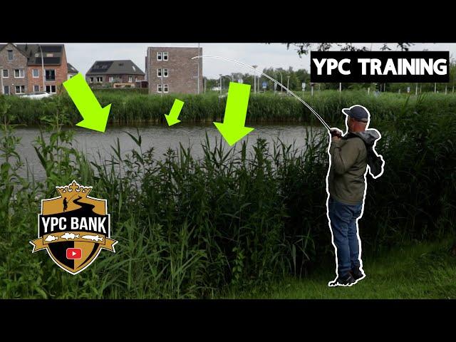 YPC Bank Training NOIKE - Was VERSTECKT sich hinterm Schilf?!