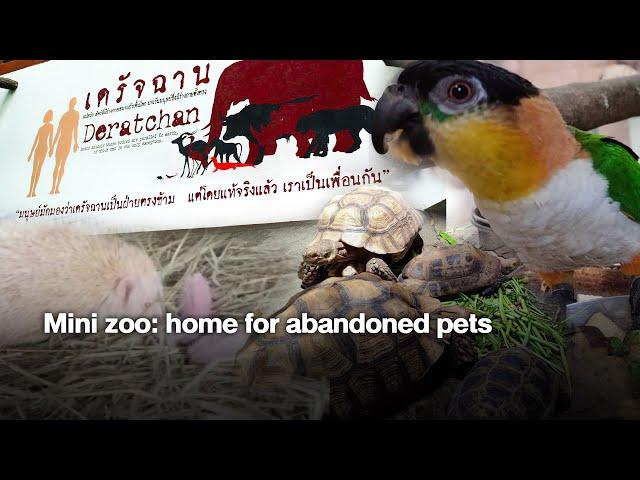 Mini zoo: home for abandoned pets