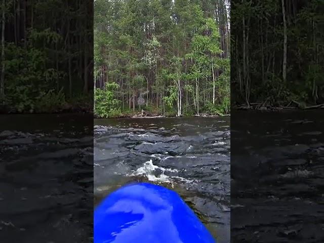 Nearly keeled over in the rapids | Arctic Solo Kayaking