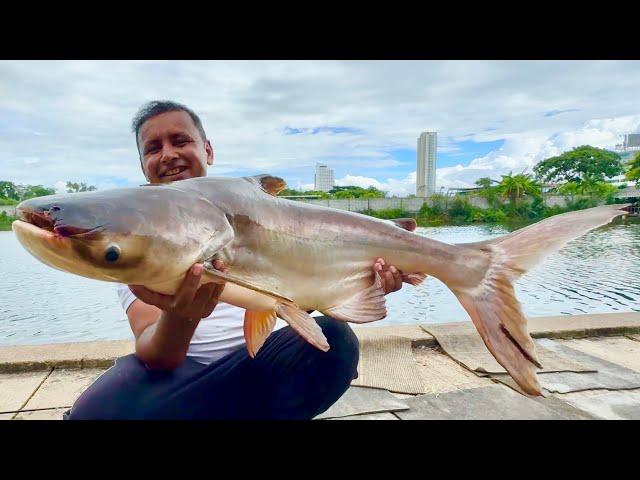 Unbelievable Big Catch | 3 Biggest Catch in My Life | Catching 3 Monster Fish | Extreme Fishing