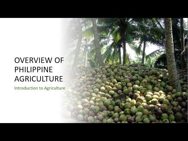 Lecture 13: Overview of Philippine Agriculture