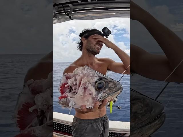 Tax man strikes again. Full video on my channel Coffey break.