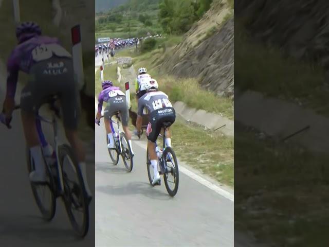 WHEN GOATS ATTACK  How on earth has Dion Smith kept that up!? 