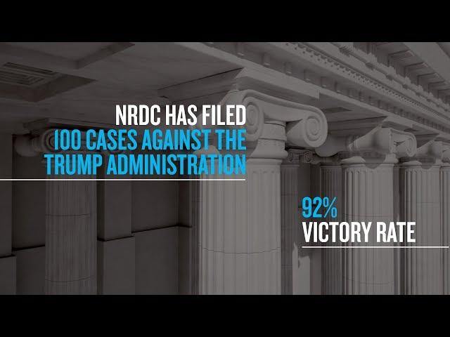 NRDC’s Lawyers Are Persistent—and Effective