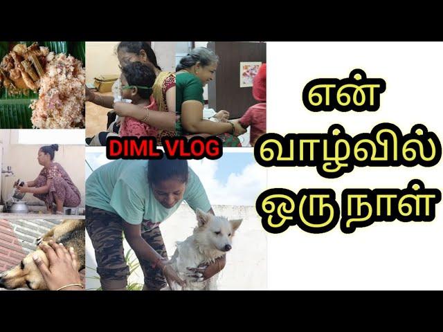 Day in my life | vlog | Diml vlog | tamil | lifestyle | sad day | AP |