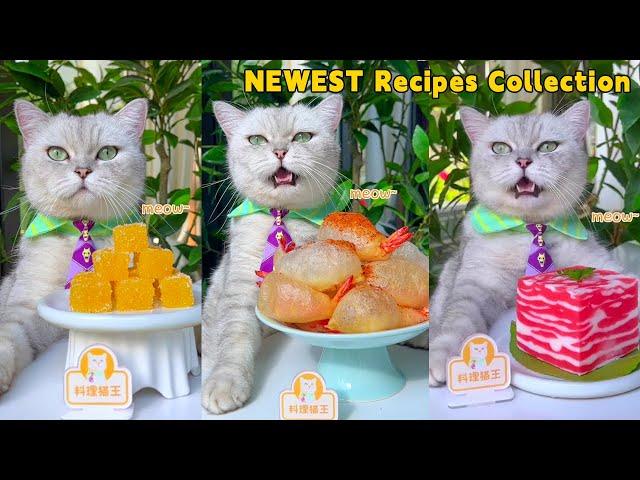 Chef Cat's Newest Yummy Recipes, Let’s Check It Out! | Cat Cooking Food | Cute And Funny Cat