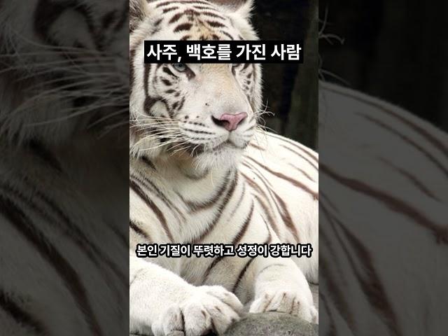 백호살의 성향, 백호살과 사고수