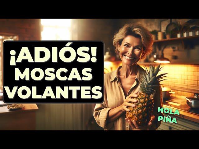 ¡La PIÑA puede ser la clave para eliminar las MIODESOPSIAS!  | Descubre Cómo