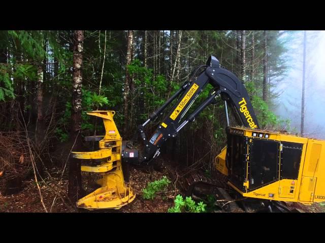 Tigercat LX830D Feller Buncher in Oregon