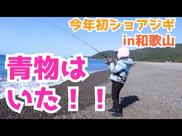 【釣り女子】今年初ショアジギングで青物釣りたい！！【和歌山】