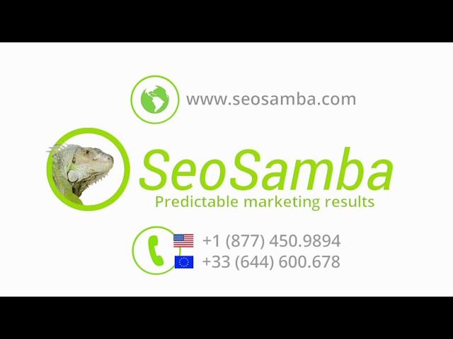 SeoSamba Franchise Marketing Platform