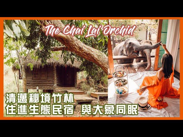 泰國公路旅行 Ep.9 | 清邁秘境竹林 住進生態民宿 The Chai Lai Orchid 與大象同眠  Chiang Mai, Thailand Vlog | Mc on the Go