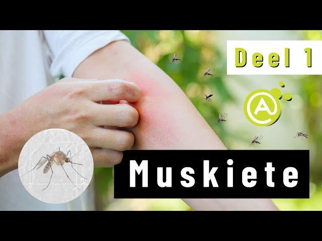 Muskiete (Deel1)