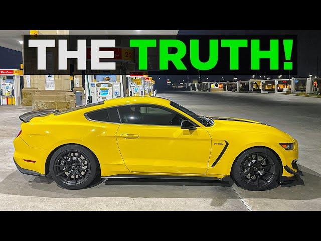 Why I Bought a Shelby GT350 Instead of a Regular 5.0 Mustang GT!