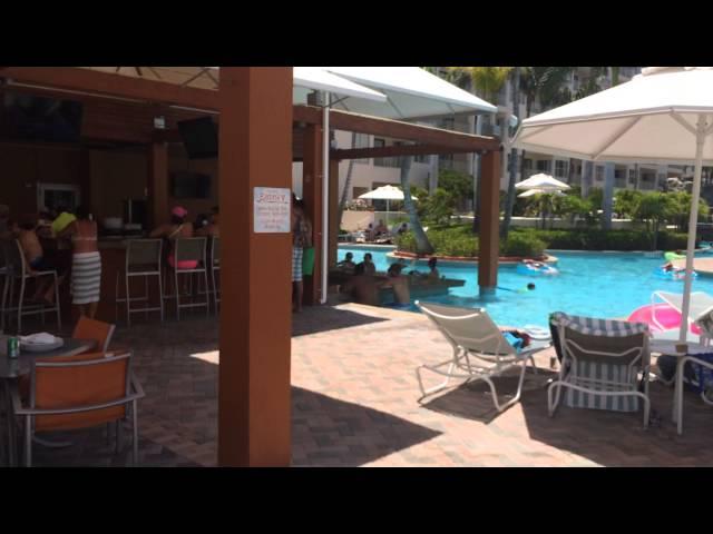 Aruba from the Iguana's Perspective