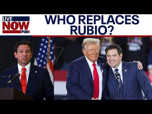 DeSantis to fill Rubio's Senate seat as Trump picks cabinet | LiveNOW from FOX