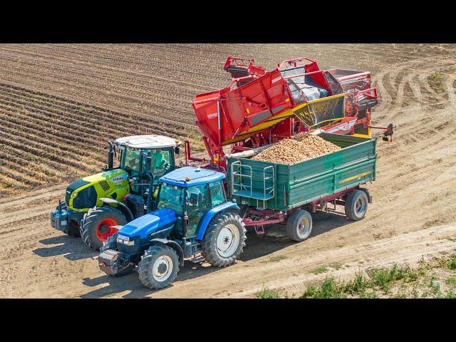 Burgonya szedés 2024 | Claas + Grimme EVO 280 | Zsákolás | Potato Harvest