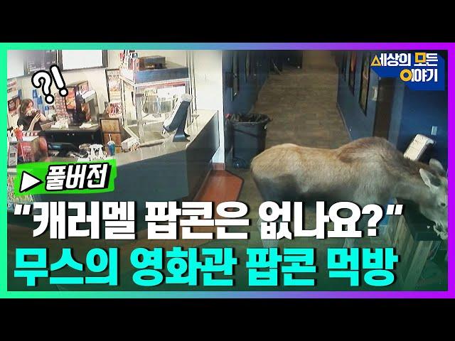 [무삭제판] 세상의 모든 이야기 '세모이' ㅣ세모이 [68회] / YTN2