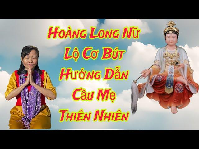 Hoàng Long Nữ(P 11)Lộ Cơ Bút,Huớng Dẫn Cầu MẸ THIÊN NHIÊN.