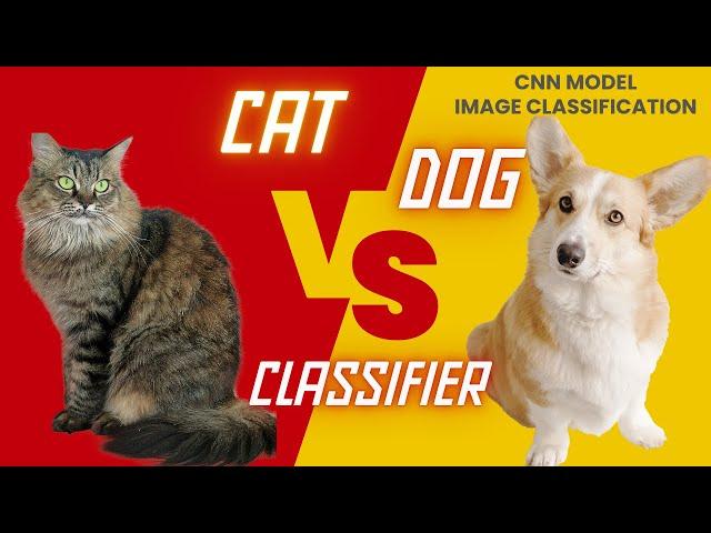 Building a Cats vs Dogs Classifier: My Deep Learning Adventure! | Machine Learning Project