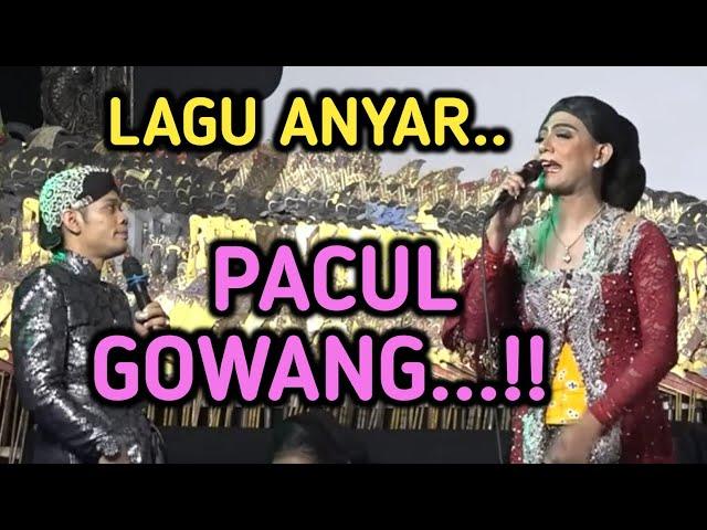 PERCIL LAGU ANYAR E HENGKI PACUL GOWANG