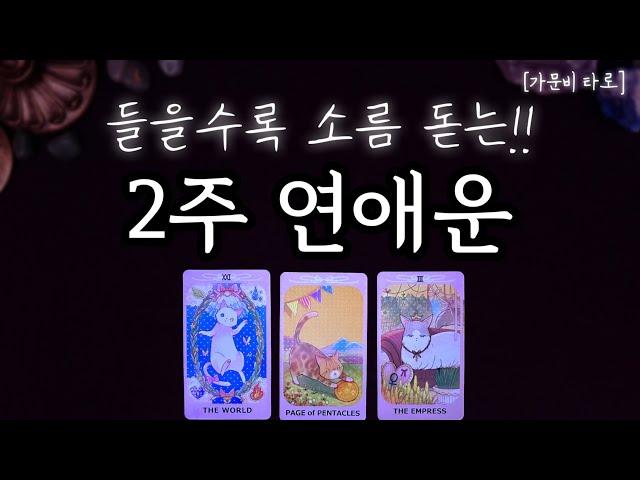 2주 연애운 (들을수록 소름!!)