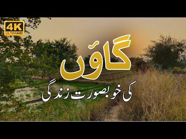 Pure Village Life In Pakistan | Village Life In Pakistan | Desi Mahol Punjab Pakistan