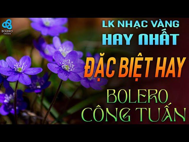 29/10 LK Nhạc Vàng Xưa TOÀN BÀI HAY BẤT HỦ Gây Ghiền 2024 | BOLERO CÔNG TUẤN Dễ Nghe Ngủ Say