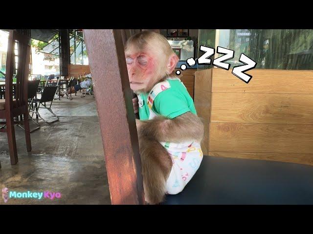 Kyo surprised the whole cafe – Dad rushed to find her, worried!