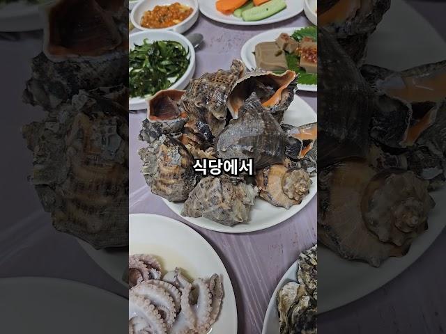 시골까지 찾아가는 자연산만 파는 횟집