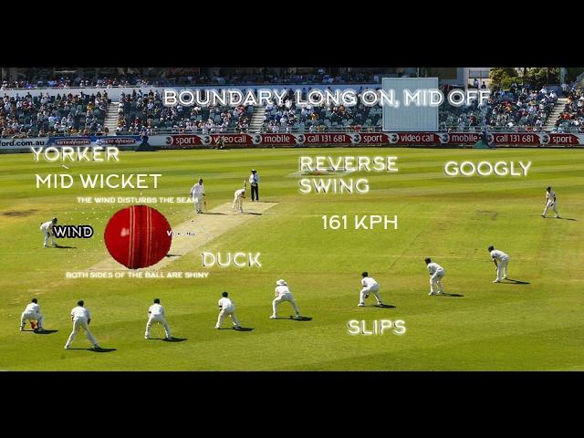 THE SCIENCE BEHIND CRICKET - NGC (science of sport)