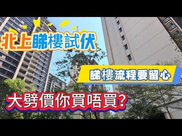 北上買樓睇真D/伏位要注意/樓盤大劈價？/小心宣傳手法