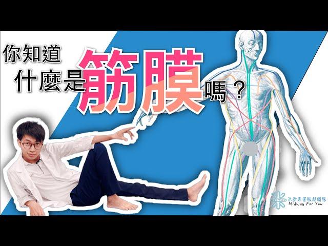 【你知道什麼是筋膜嗎？物理治療師來解決亙古謎題！】看完讓你快速了解筋膜！原來累積長久的肩頸腰痛可能就是來自筋膜？！｜MIDWAY米蔚健康教室EP06