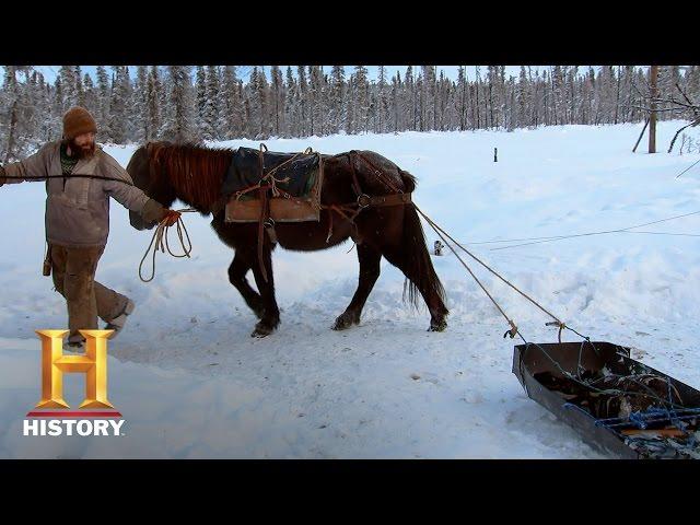 Mountain Men: Bonus: Winter's Toll (S5, E8) | History