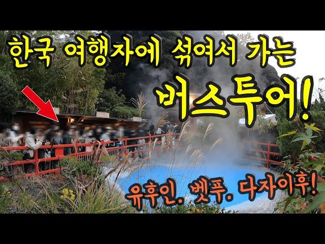 일본인 나 혼자! 한국 여행자에 섞어서 함께 가는 유후인 벳푸 다자이후 버스투어!/ 후쿠오카 여행