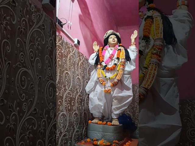 ekadashi Hari sankirtan tridandi maharaj#short