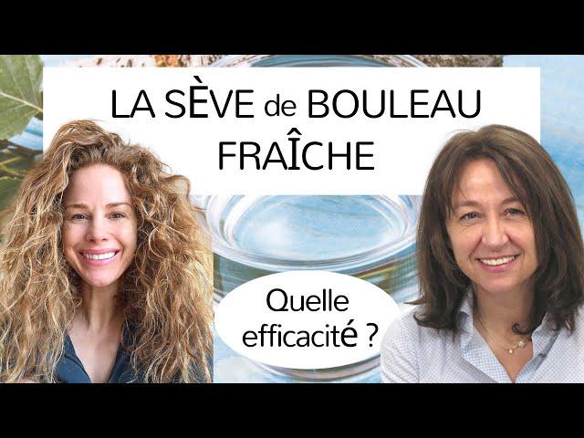 Les bienfaits de la SÈVE de BOULEAU FRAÎCHE