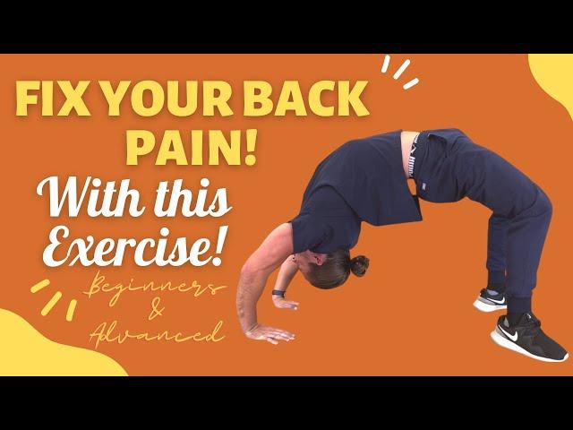 Low Back Pain Relief/Mobility Exercises for Beginners & Advanced!