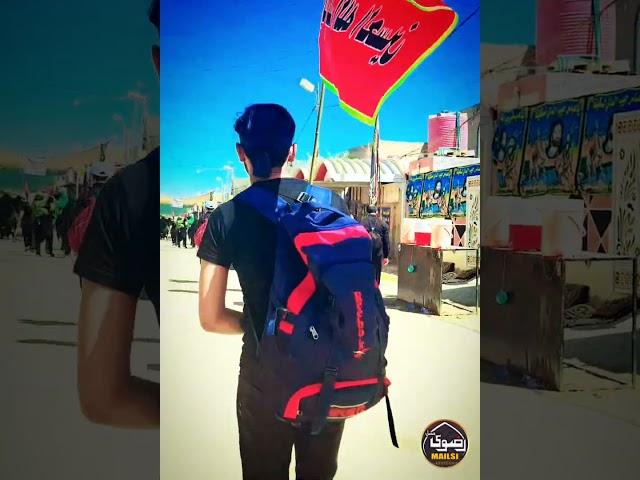 Zakir Syed Kumail Haider Rizvi Mailsi #Arbeen2023 #haiderrizvi #shortsvideo #mjalis #karbala #tag