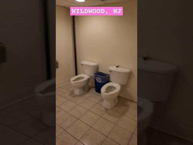 Double Toilets? Why??