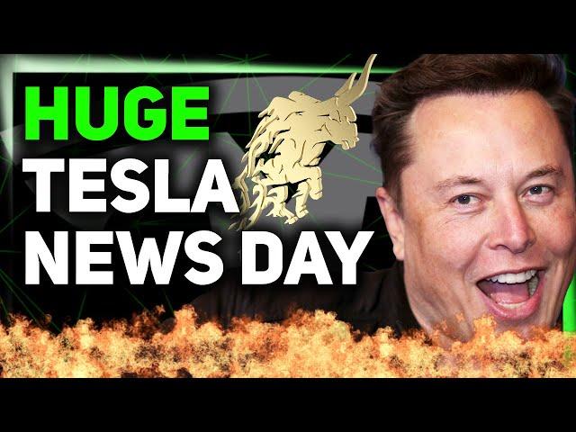 Tesla Shares Robotaxi Service Details / FSD Approval in EU / Elon Says 5 Critical Words ️