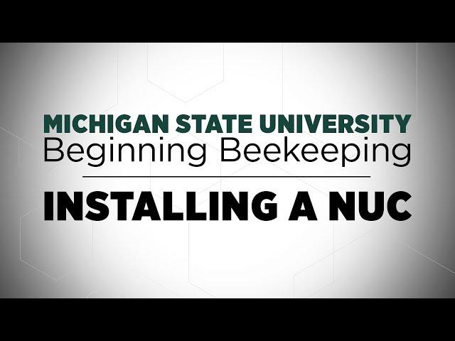 Beginning Beekeeping: Installing a Nuc