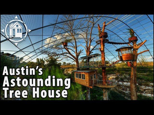Multi-Level Tree House Inspired by Swiss Family Robinson