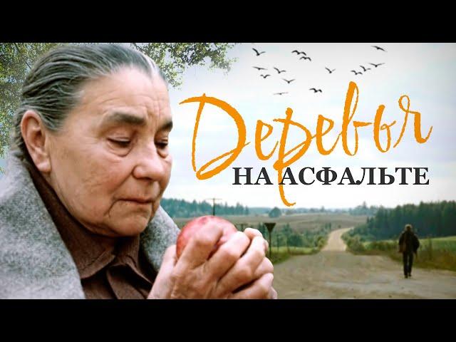 ДЕРЕВЬЯ НА АСФАЛЬТЕ - Фильм / Мелодрама