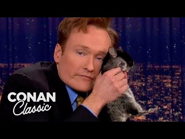 Animal Expert Clyde Peeling: Chinchilla & Black-Headed Python | Late Night with Conan O’Brien