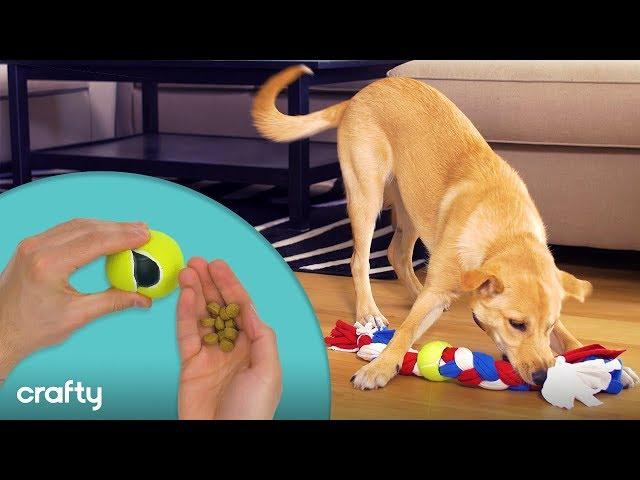 3 Super Simple DIY Dog Toys Your Dogs Will LOVE