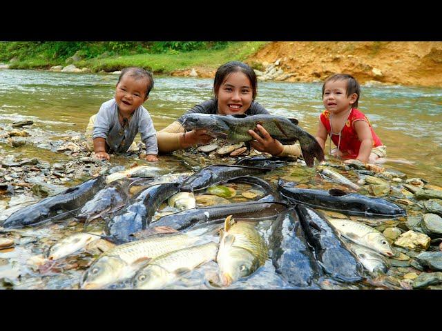 Meet a giant school of fish in the river - catch fish to sell at the market, cook with your children