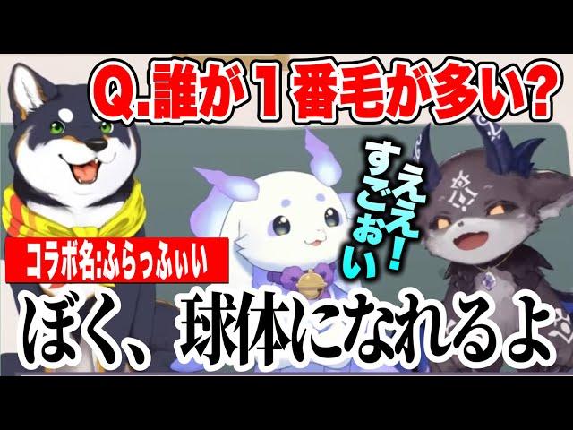 【ふらっふぃい】にじさんじ毛まみれコラボで視聴者の質問に答えて、今後の夢を話す3人【にじさんじ切り抜き/ルンルン/でびでび・でびる/黒井しば/ふらっふぃい】