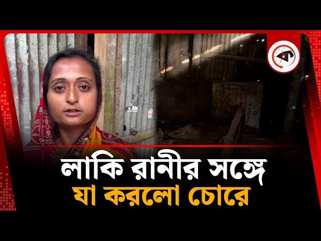 লাকি রানীর সঙ্গে যা করলো চোরে | Moulvibazar Lacky | Cow theft | Kalbela