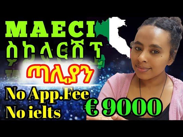 Italian Government Scholarship 2025 (MAECI) | Step-by-Step Application Guide | €9,000 + Free Tuition